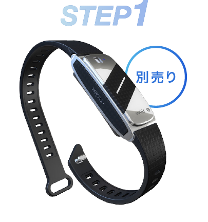 Helo LX Plusを装着